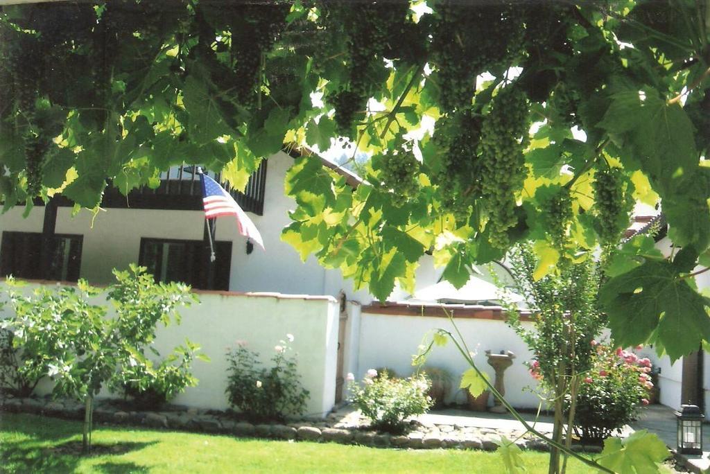Spanish Villa Inn St. Helena Kültér fotó